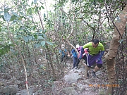 pic_Wai_100.jpg (609817 bytes)