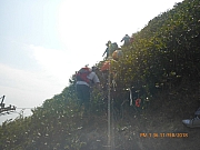 pic_Wai_120.jpg (203584 bytes)