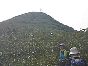pic_Wai_133.jpg (351255 bytes)