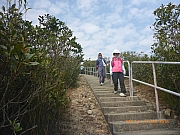 pic_Wai_143.jpg (437531 bytes)