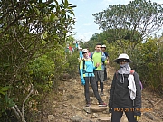 pic_Wai_163.jpg (552675 bytes)