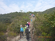 pic_Wai_165.jpg (400803 bytes)