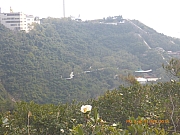 pic_Wai_166.jpg (297622 bytes)