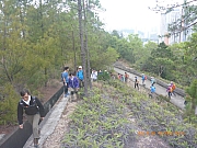 pic_Wai_049.jpg (465328 bytes)