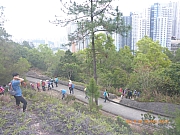 pic_Wai_051.jpg (449918 bytes)
