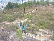 pic_Wai_052.jpg (458104 bytes)