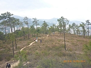 pic_Wai_053.jpg (273066 bytes)