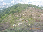 pic_Wai_054.jpg (403072 bytes)