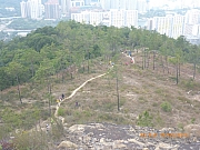 pic_Wai_055.jpg (354557 bytes)