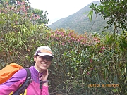 pic_Wai_080.jpg (512753 bytes)