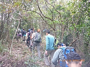 pic_Wai_081.jpg (649025 bytes)
