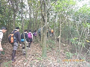 pic_Wai_082.jpg (513897 bytes)