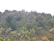 pic_Wai_085.jpg (340847 bytes)
