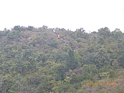 pic_Wai_086.jpg (292771 bytes)