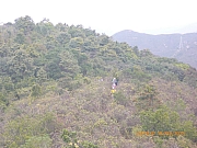 pic_Wai_087.jpg (352206 bytes)