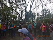 pic_Wai_091.jpg (454901 bytes)