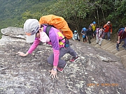 pic_Wai_099.jpg (481176 bytes)