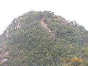 pic_Wai_110.jpg (340838 bytes)