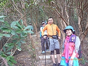 pic_Wai_117.jpg (542583 bytes)