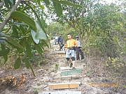 pic_Wai_118.jpg (546065 bytes)