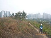 pic_Wai_012.jpg (296618 bytes)