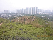 pic_Wai_013.jpg (313984 bytes)