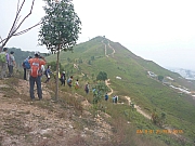 pic_Wai_014.jpg (327535 bytes)