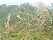 pic_Wai_016.jpg (287956 bytes)