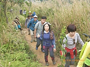pic_Wai_017.jpg (477576 bytes)