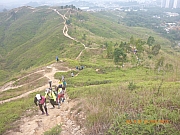 pic_Wai_018.jpg (418157 bytes)