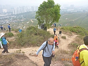 pic_Wai_025.jpg (397220 bytes)
