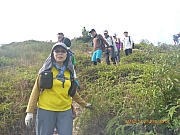 pic_Wai_057.jpg (392961 bytes)
