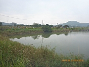 pic_Wai_064.jpg (242401 bytes)