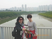 pic_Wai_071.jpg (200278 bytes)