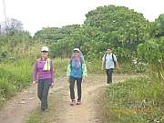 pic_Wai_075.jpg (374133 bytes)
