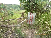 pic_Wai_078.jpg (599592 bytes)