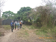 pic_Wai_082.jpg (465310 bytes)
