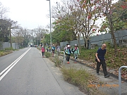 pic_Wai_093.jpg (437058 bytes)