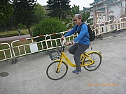 pic_Wai_104.jpg (347229 bytes)