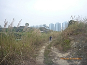 pic_Wai_107.jpg (305121 bytes)