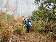 P3040019.jpg (659947 bytes)