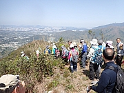 P3110066.JPG (479024 bytes)
