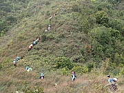 P3180043.JPG (723655 bytes)