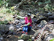 P4010018.JPG (499369 bytes)