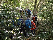 P4080016.JPG (642633 bytes)
