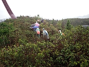 P4150005.JPG (432154 bytes)
