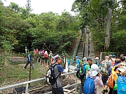 P4220004.JPG (671902 bytes)