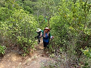 P4220031.JPG (909891 bytes)