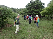 P4290033.JPG (667849 bytes)