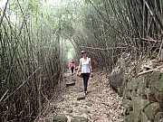 P4290037.JPG (635919 bytes)